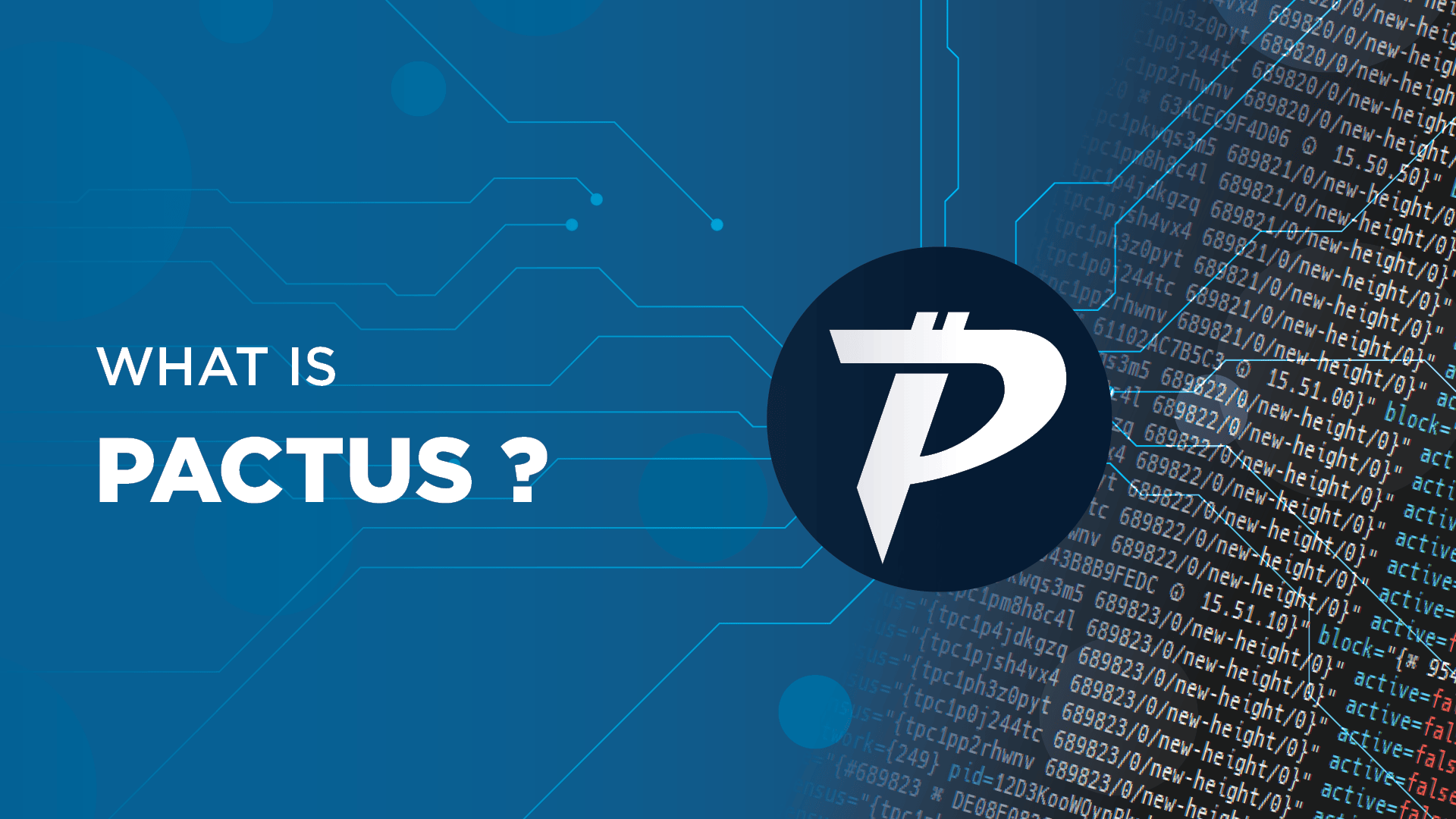 Pactus - a real Proof-of-Stake blockchain